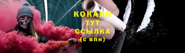 молекула духа Балахна