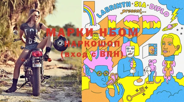 ГАЛЛЮЦИНОГЕННЫЕ ГРИБЫ Балабаново