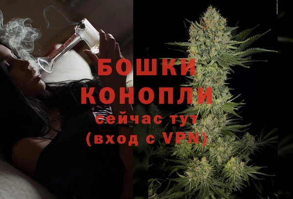молекула духа Балахна