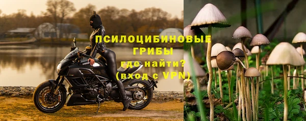 молекула духа Балахна