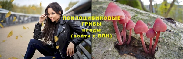 молекула духа Балахна