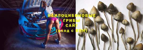 ГАЛЛЮЦИНОГЕННЫЕ ГРИБЫ Балабаново