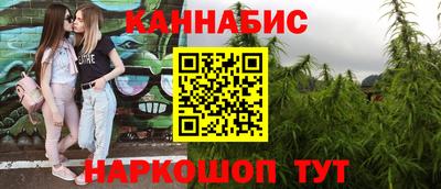 МДПВ Сланцы